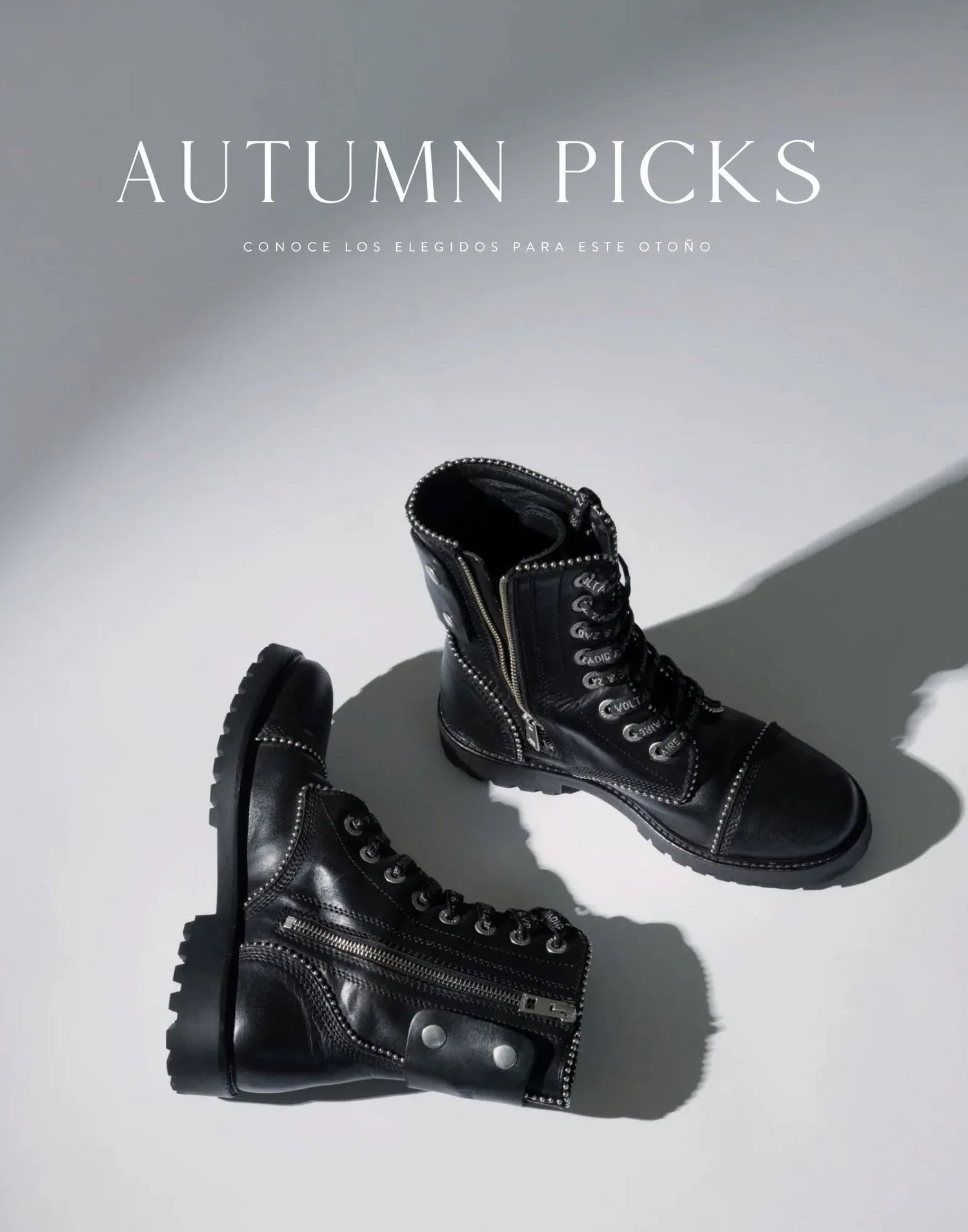 AUTUMN PICKS