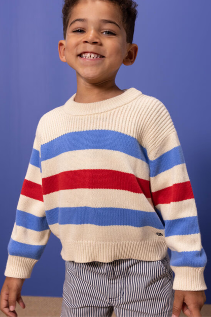 JERSEY RAYAS TRICOLOR PETIT