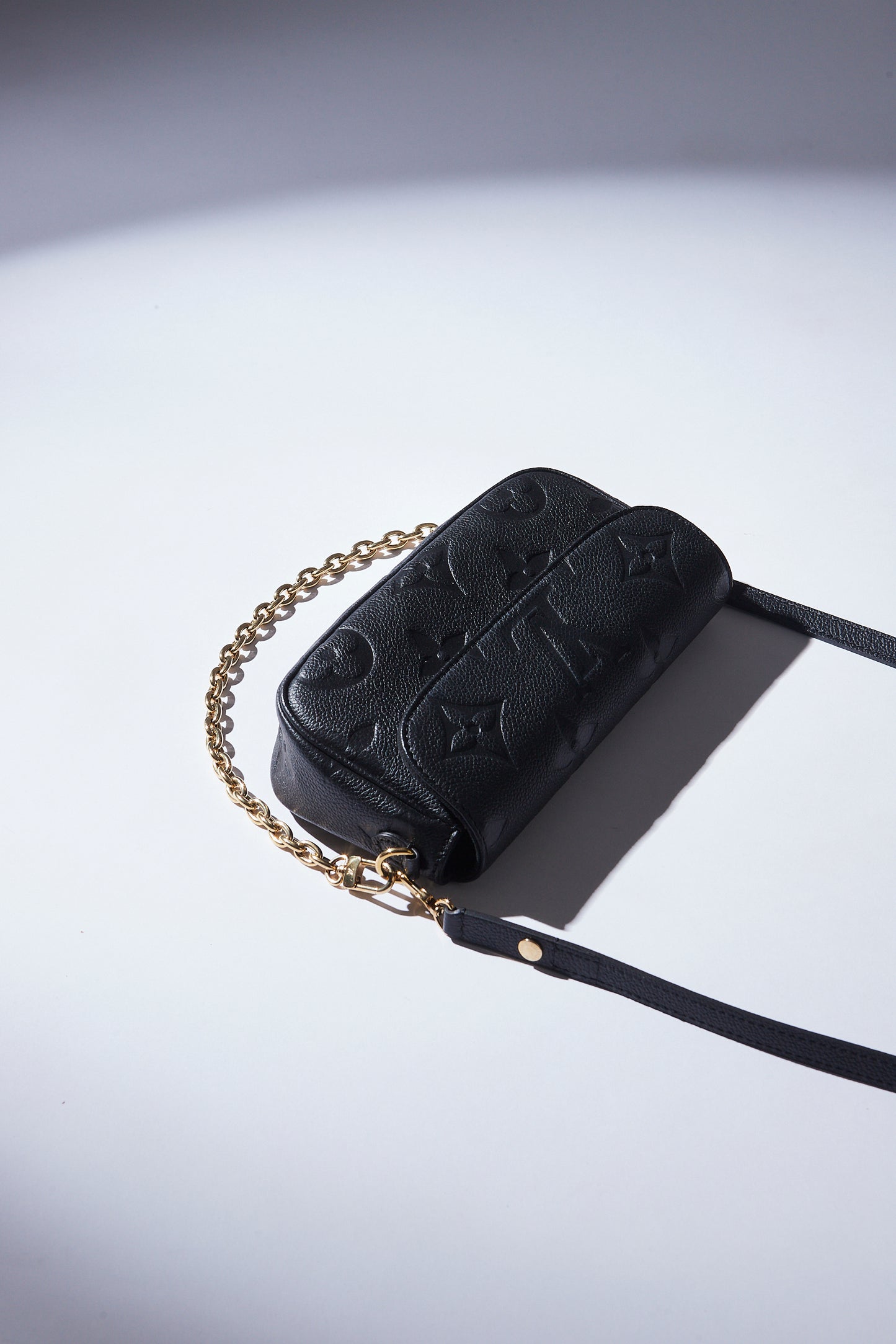 CARTERA IVY