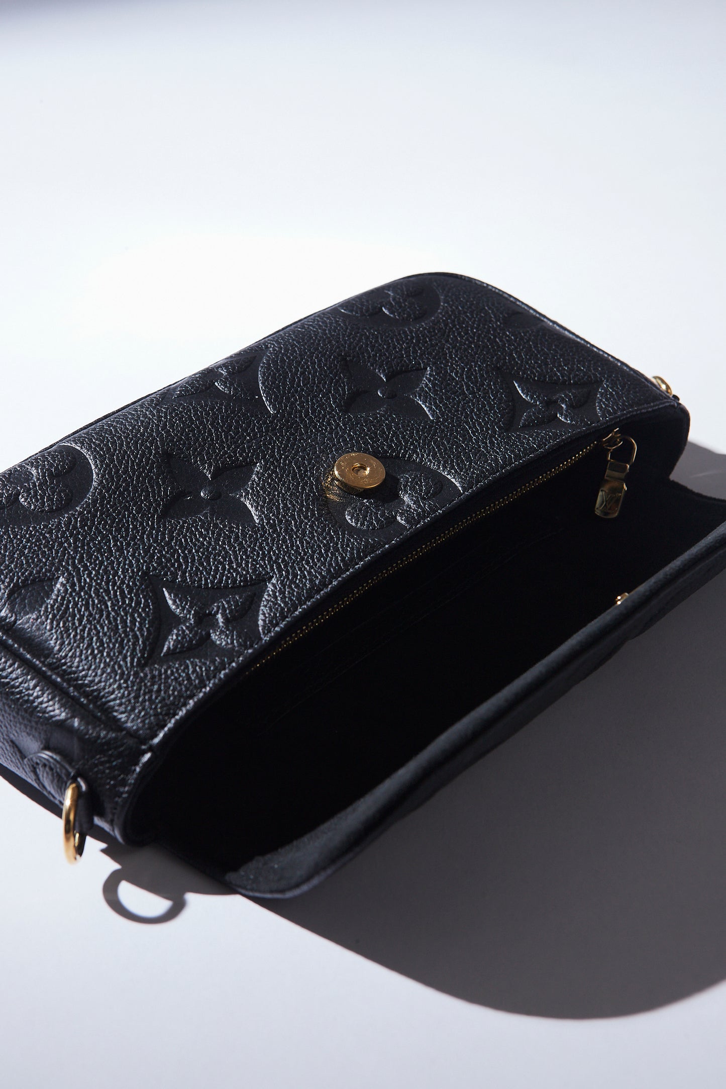CARTERA IVY